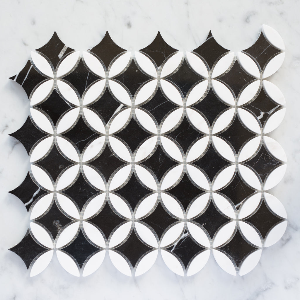 NERO MARQUINA + THASSOS / CLOVER